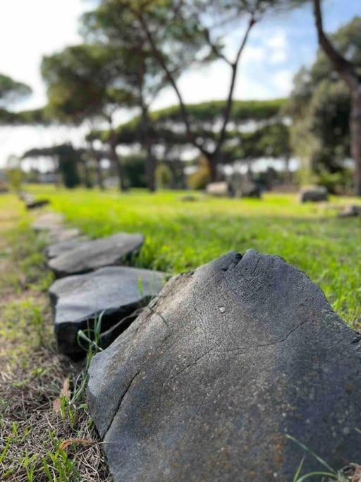 Per Antiqua Itinere Apartment Ostia Antica Exterior foto