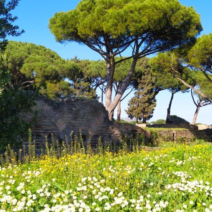 Per Antiqua Itinere Apartment Ostia Antica Exterior foto