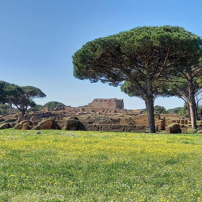 Per Antiqua Itinere Apartment Ostia Antica Exterior foto