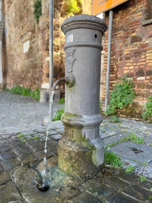 Per Antiqua Itinere Apartment Ostia Antica Exterior foto